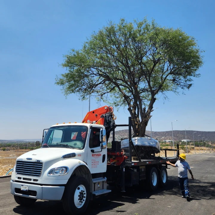 Descarga de materiales de construcción